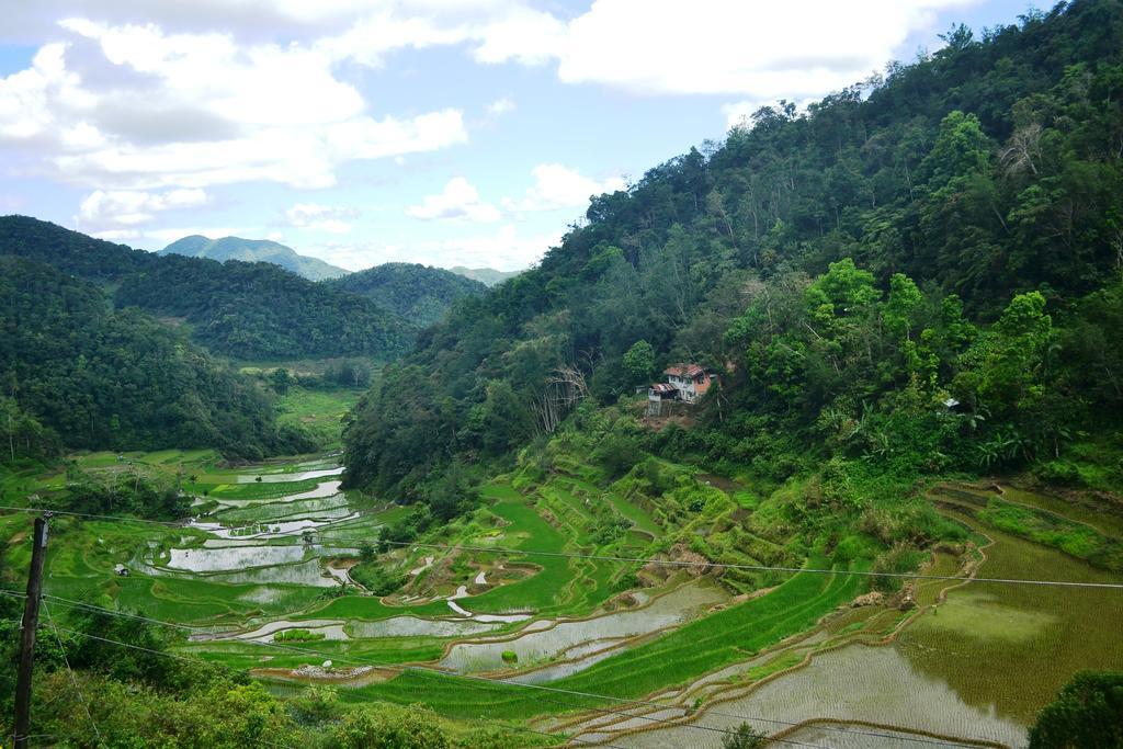 Banaue Greenfields Inn Ngoại thất bức ảnh